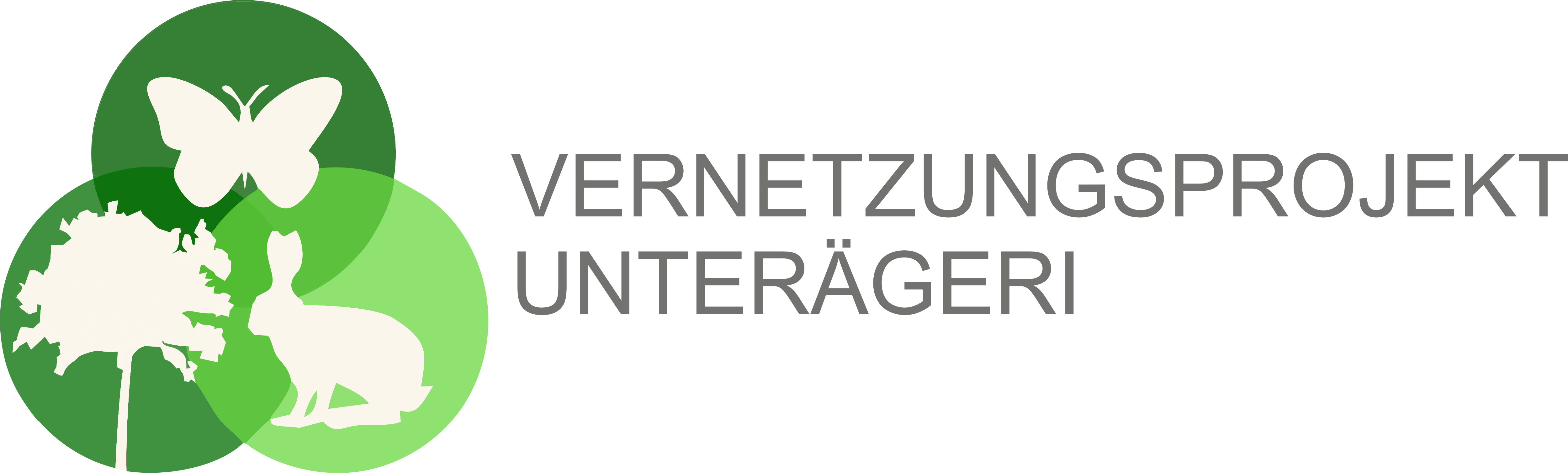 Vernetzungsprojekt Unterägeri