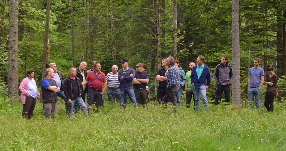 Exkursion zur Qualität von extensiv genutzten Wiesen am 22. Juni 2018