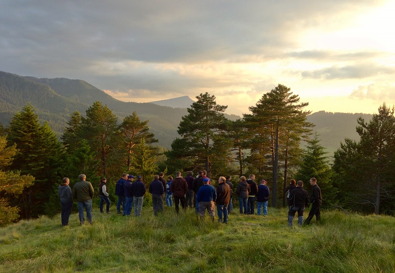 Exkursion Brandalp 2013: