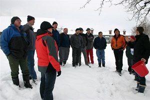 Hochstammobstgärten